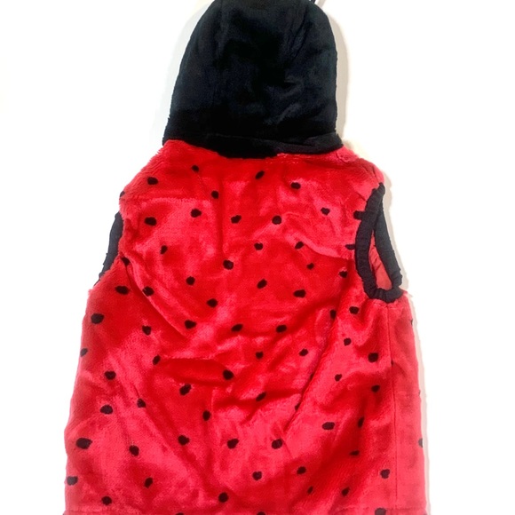 Child Size Large Ladybug 🐞 Costume - Picture 2 of 6